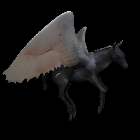 Black Pegasus