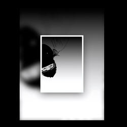 EUPHORIE SILENCIEUSE