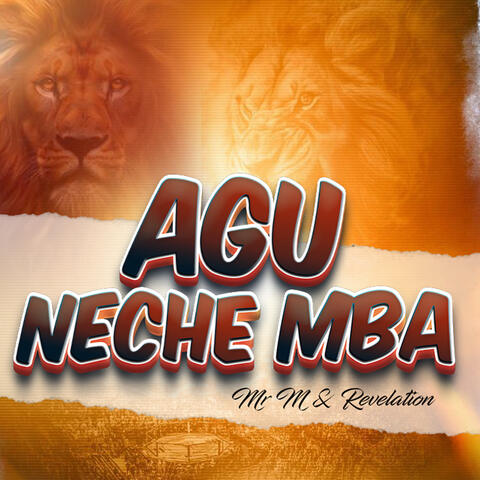 Agu Neche Mba