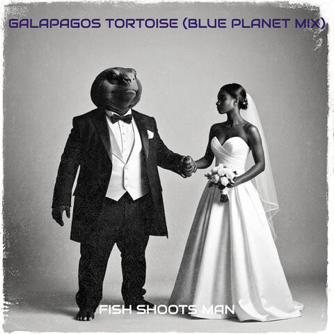 Galapagos Tortoise (Blue Planet Mix)