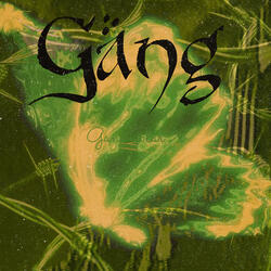 Gang