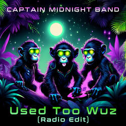 Used Too Wuz (Radio Edit)