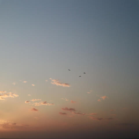 Daydream
