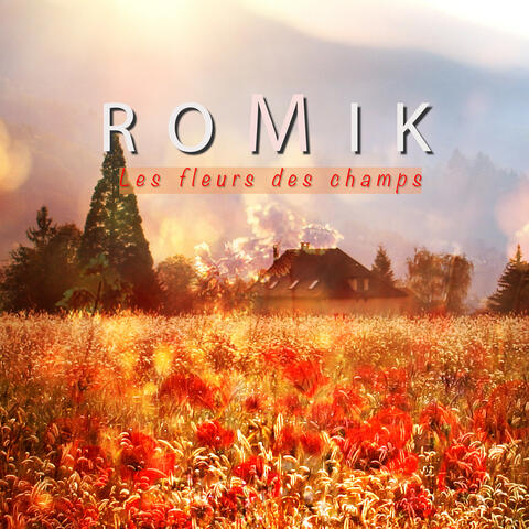Les fleurs des champs