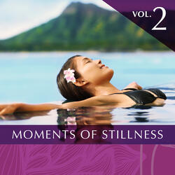 Moments of Stillness, Vol 2, Pt. 3