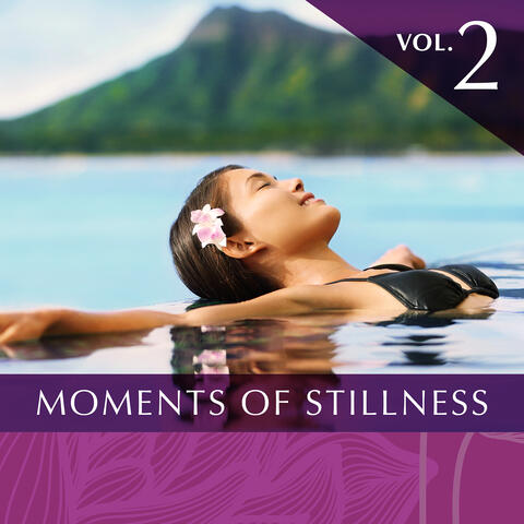 Moments of Stillness, Vol. 2 Guided Meditation