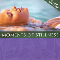 Moments of Stillness, Pt. 1