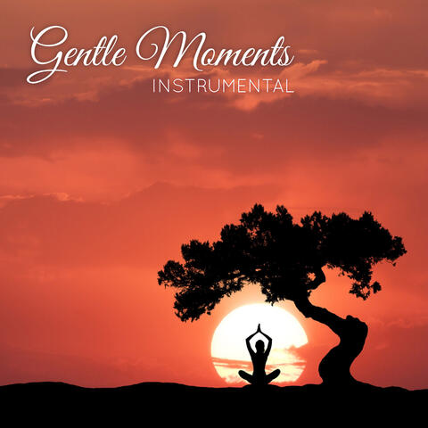 Gentle Moments (Instrumental)