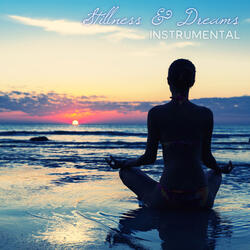 Stillness & Dreams