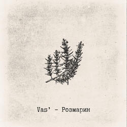 Розмарин
