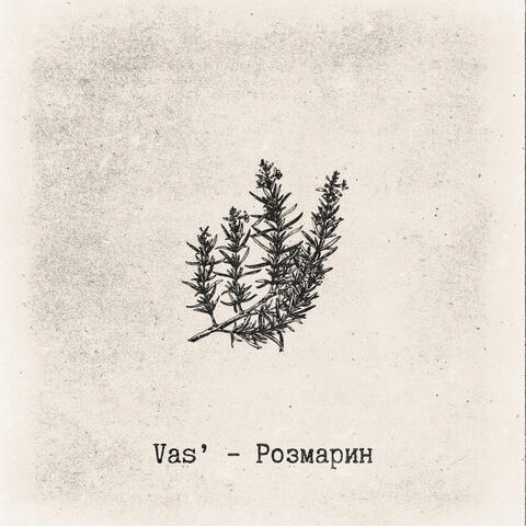Розмарин
