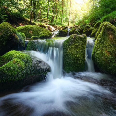 Nature's Soothing Gentle Waterfall Creek Sounds