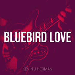 Bluebird Love