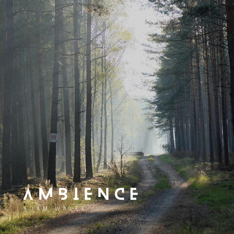 Ambience