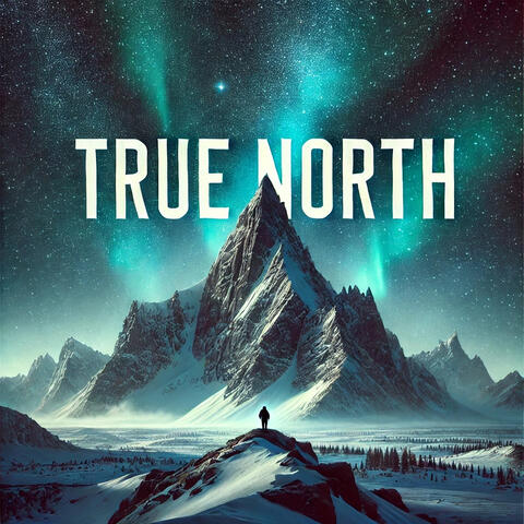 True North