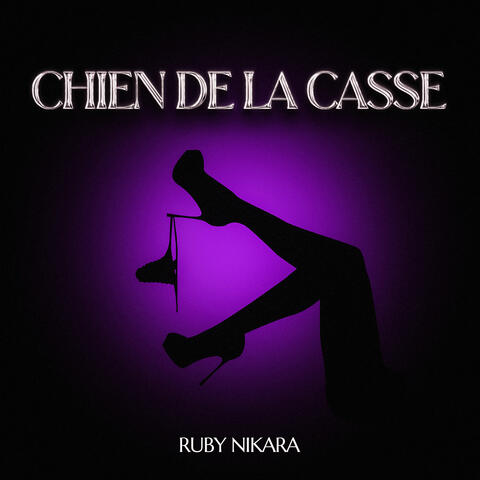 Chien de la casse
