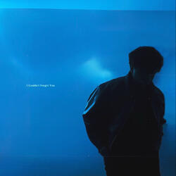 I Couldn't Forget You