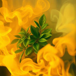 Puff up the Sky