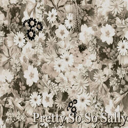 Pretty so so Sally
