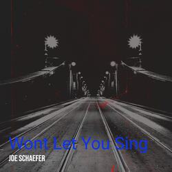 Wont Let You Sing