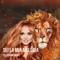 Sei la mia melodia