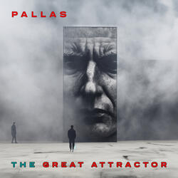 The Great Attractor