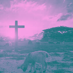 Team Jesus