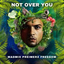 Not over You (Extended Mix)