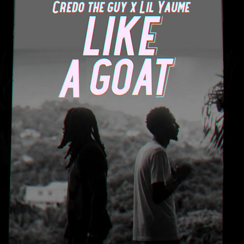 Like a Goat