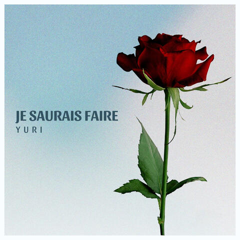 Je saurais faire