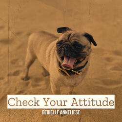 Check Your Attitude