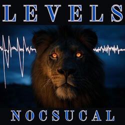 Levels