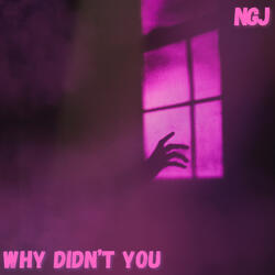 Why Didn't You