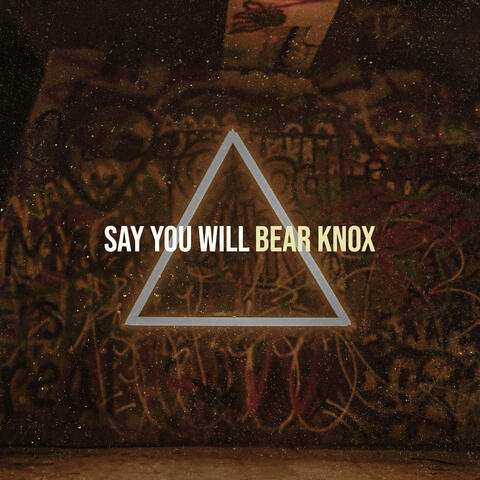 Say You Will
