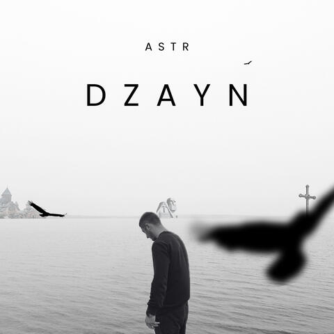 Dzayn