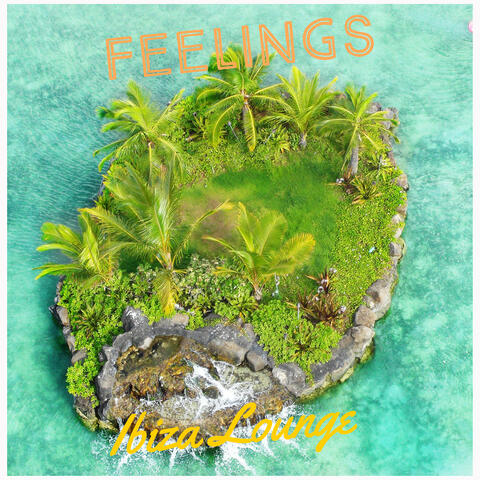 Feelings