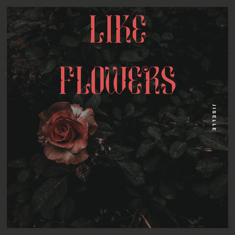 Like Flowers