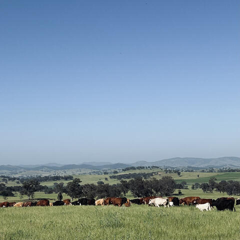 Craig Cooke Country