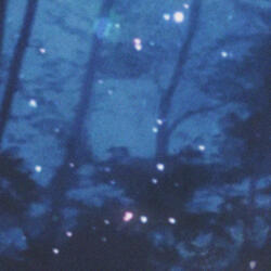 Fragments
