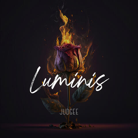 Luminis