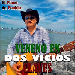Veneno En Dos Vicios Claves