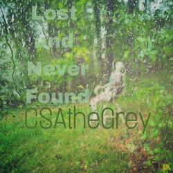 Lost and Never Found