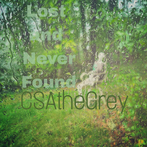Lost and Never Found