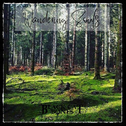 Wandering Souls