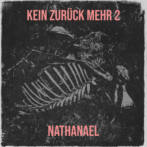 Kein Zurück Mehr 2