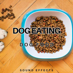 Dog Eating Dog Food Sound Effects