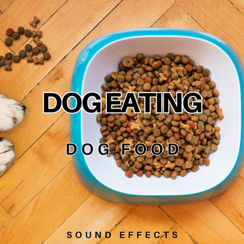 Dog Eating Dog Food Sound Effects