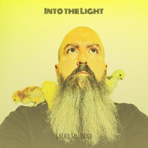 Into the Light
