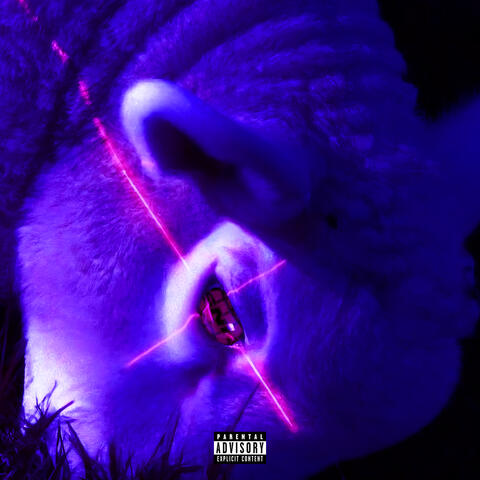 Keepit100 Freestyle