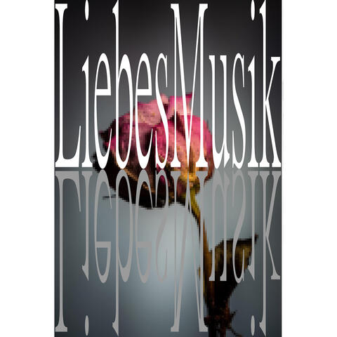 LiebesMusik